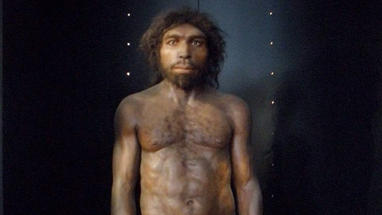 Гейдельбергский человек — один из древних предков неандертальцев и Homo sapiens Гейдельбергский человек — один из древних предков неандертальцев и Homo sapiens