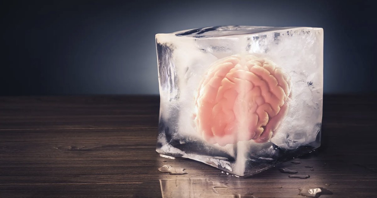 Китайцы заморозили часть мозга и были удивлены через 18 месяцев