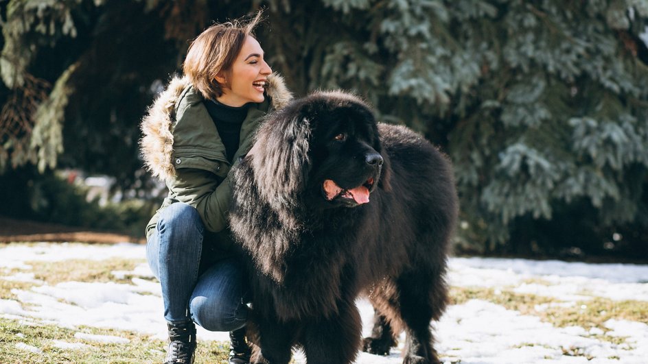 Хозяйка сидит на корточках рядом со своим ньюфаундлендом на прогулке и улыбается, гладя собаку Хозяйка сидит на корточках рядом со своим ньюфаундлендом на прогулке и улыбается, гладя собаку