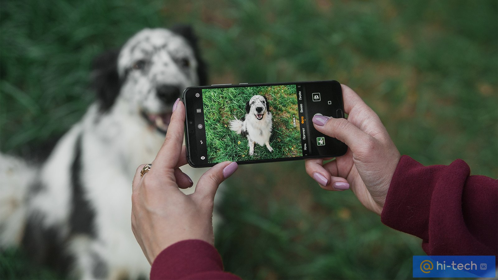 Как фотографировать животных, чтобы получилось красиво - Hi-Tech Mail.ru