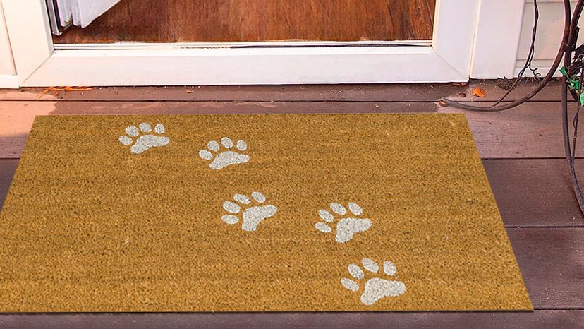 Придверный коврик Doormat kokos Elegant Blanc-90202