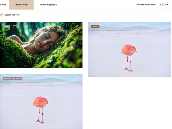 Снимок фламинго в разделе ИИ-фотографий. Изображение уже удалили с сайта конкурса.