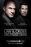 Постер Закон и порядок: Организованная преступность: 2 сезон