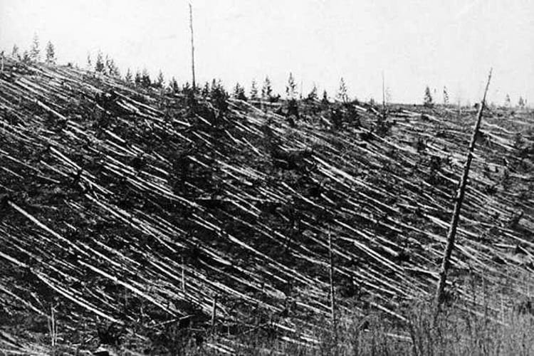 Поваленные деревья в районе падения метеорита. Фото: STSTW Media