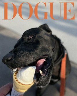 Dogue