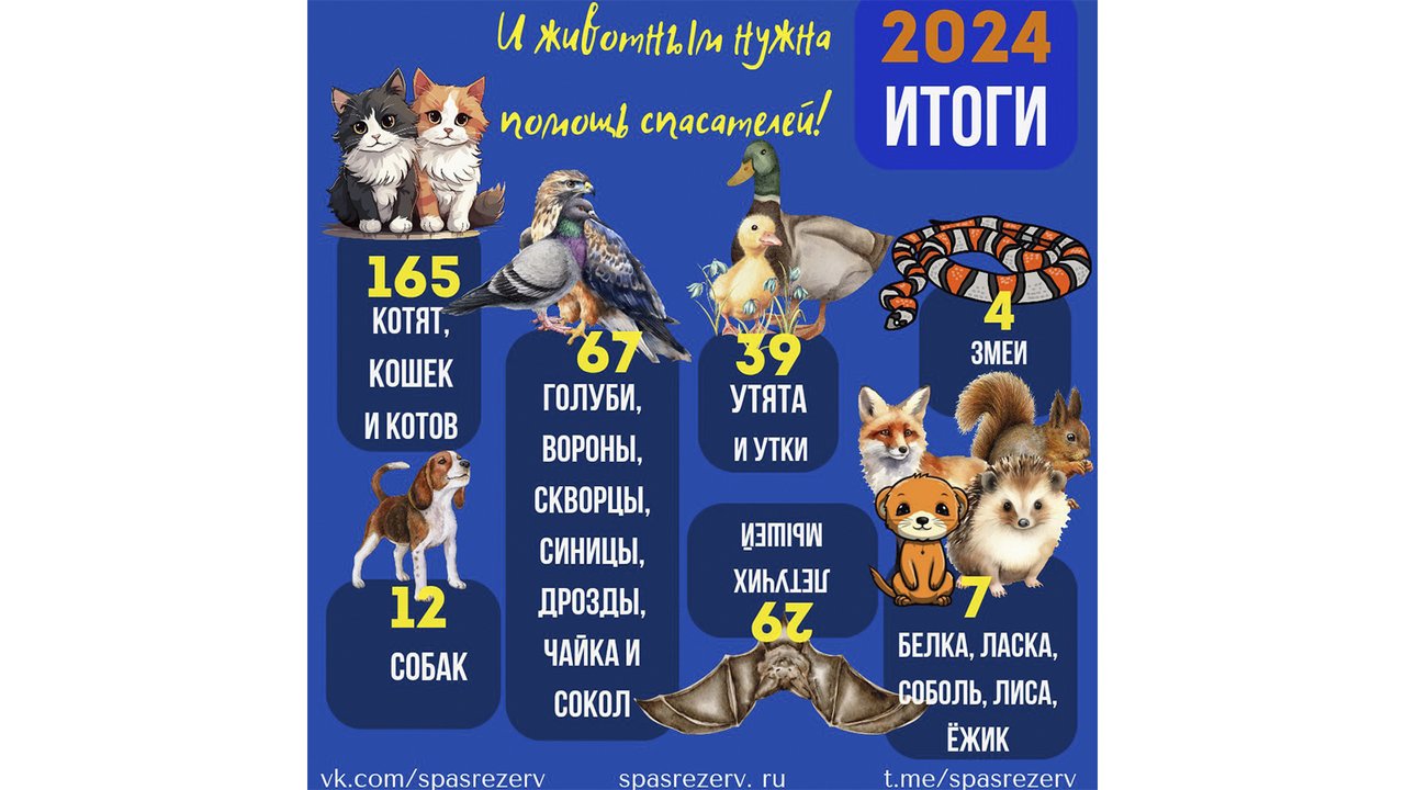 Московские спасатели подвели итоги помощи животным в 2024 году.