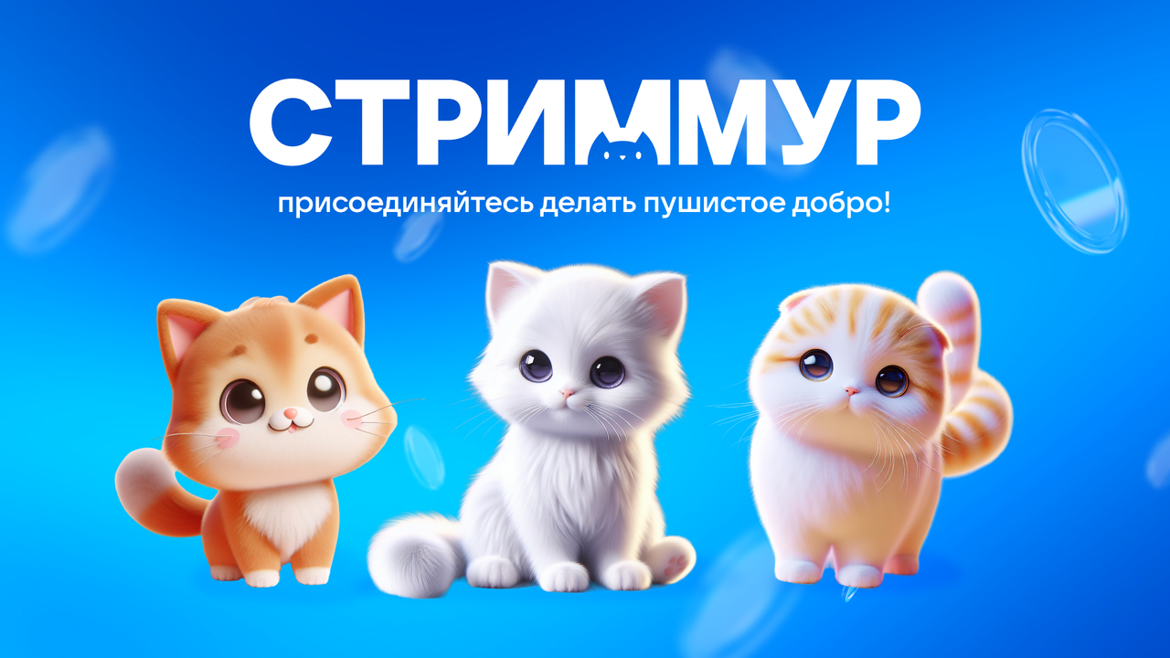 VK И Фонд «Ника» запустили благотворительный проект СтримМур VK И Фонд «Ника» запустили благотворительный проект СтримМур