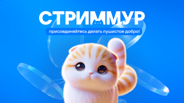 VK И Фонд «Ника» запустили благотворительный проект СтримМур