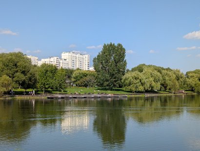 Пруд в парке среди деревьев, на заднем плане жилые дома