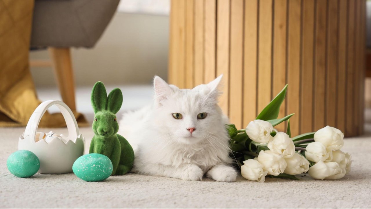 Кошка с пасхальными яйцами Кошка с пасхальными яйцами