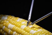 Микрохирургический робот Sony работает на зерне кукурузы