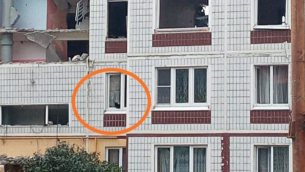 В Ногинске пытаются спасти питомцев после взрыва в жилом доме