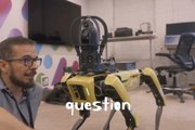 Робособаки Boston Dynamics научились говорить
