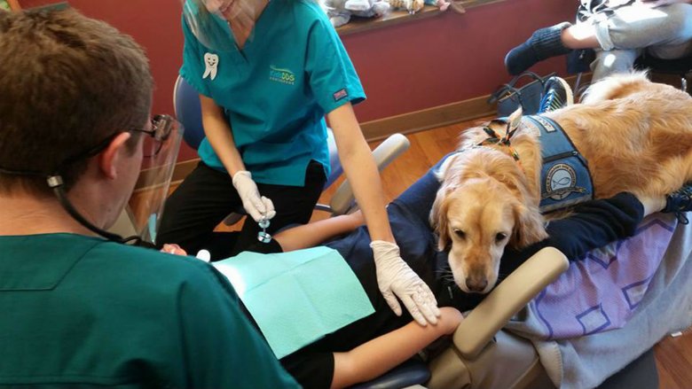 В стоматологическом центре в Америке работает собака, которая успокаивает пациентов 