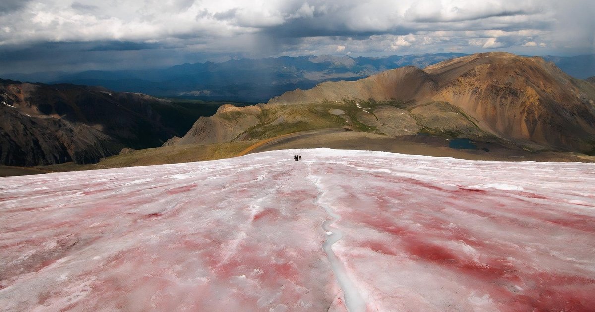 Крупный ледник на Алтае стал красным и начал быстрее таять