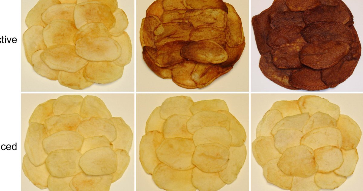 Ученые придумали, как сделать чипсы полезнее