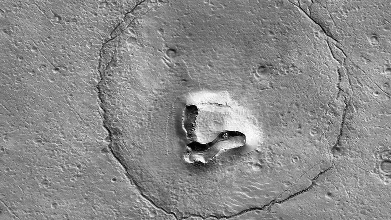 Так выглядит одинокий медведь на Марсе. Фото: CNET