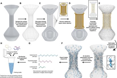 Схематическое изображение микроскопических ваз и тарелок. Фото: Университет Дьюка
