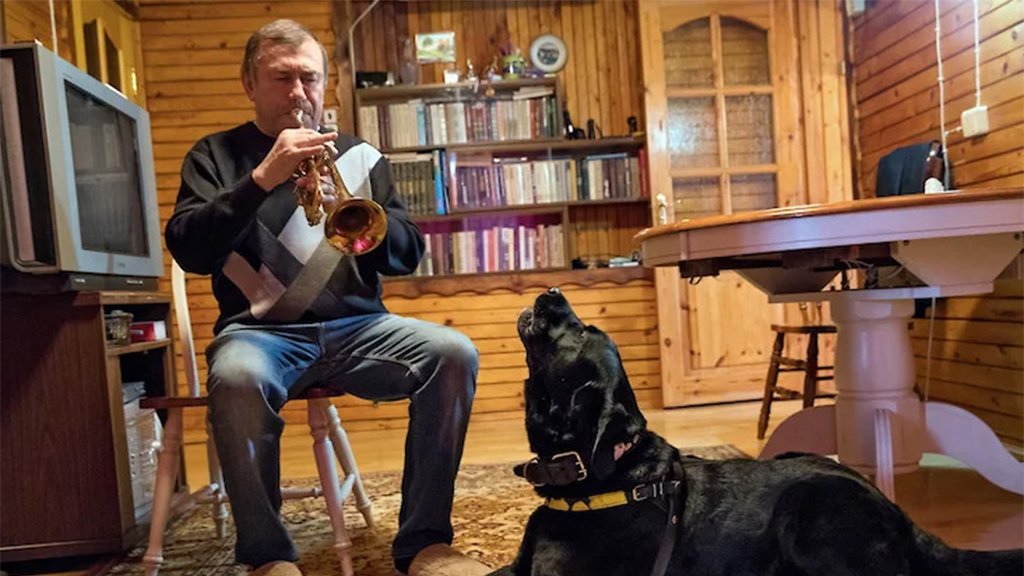 Высшее собачье Высшее собачье