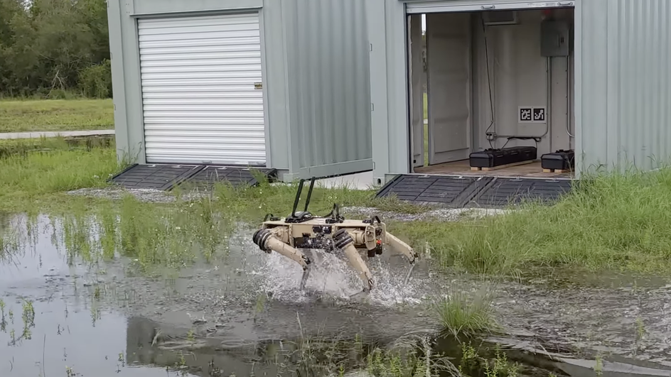 Робопес Quadruped Unmanned Ground Vehicle (Q-UGV). Он же Neo. Источник: 404Media