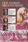 Постер Санта-Барбара: 8 сезон
