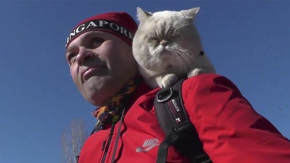Кот каждый день катается на велосипеде по Симферополю