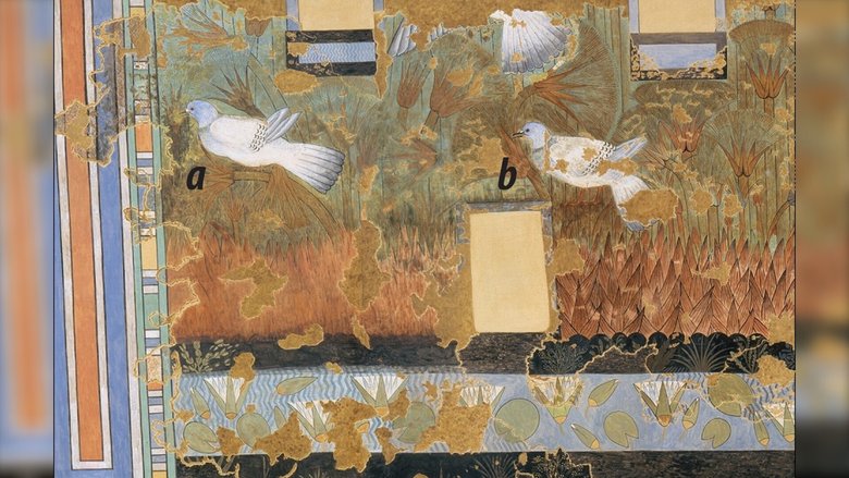 Показаны сизые голуби. Они встречаются в Египте круглый год. Фото: The Metropolitan Museum of Art, New York; Antiquity Publications Ltd.