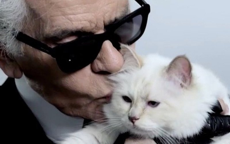 Karl lagerfeld gato fortuna