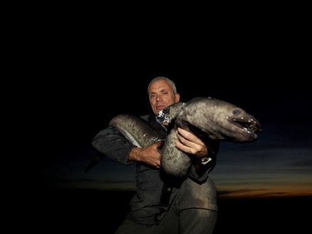 Rechnye Monstry River Monsters Opisanie Teleshou Otzyvy I Recenzii Uchastniki Video Foto Kino Mail Ru