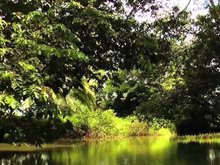 Кадр из Всемирное природное наследие: Коста Рика 3D