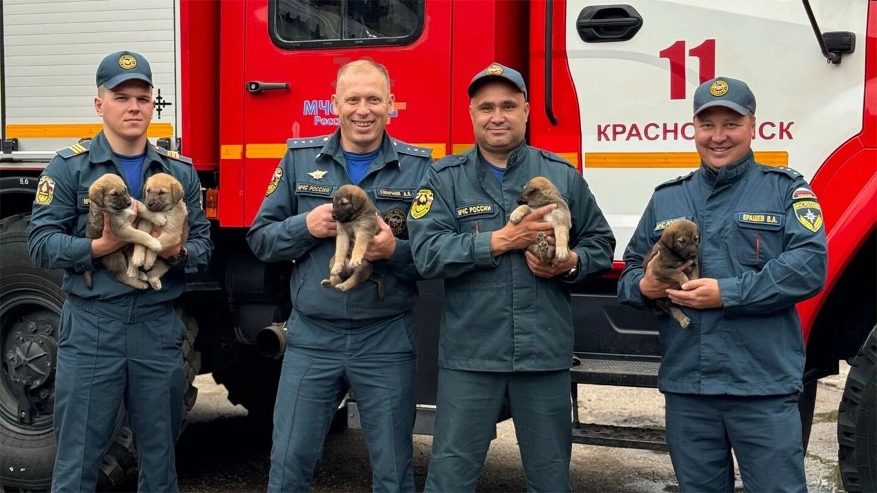 Щенята на руках у пожарных
