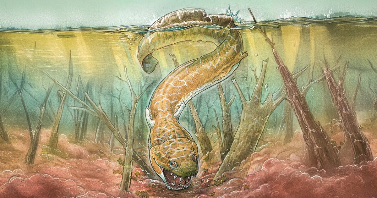 Гигантский болотный монстр был высшим хищником до динозавров