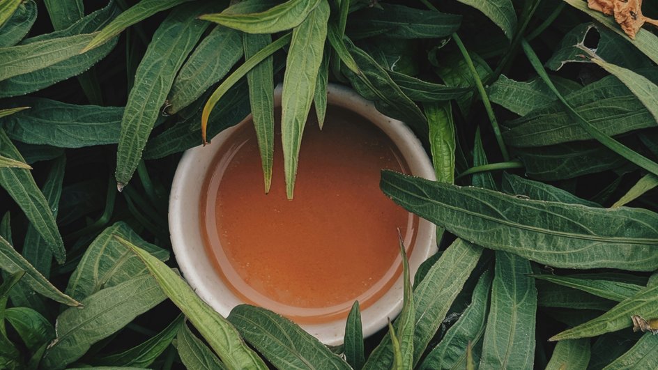 Чашка с чаем среди растений