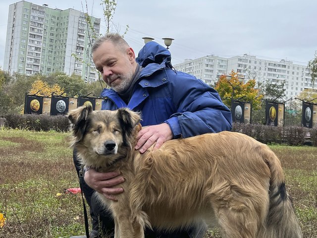 Окно в другой мир. Как взять в семью слепую собаку?