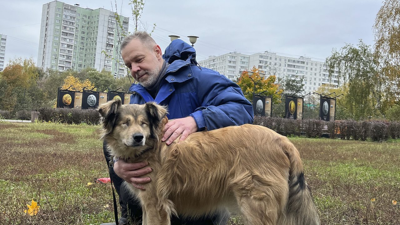 Окно в другой мир. Как взять в семью слепую собаку?