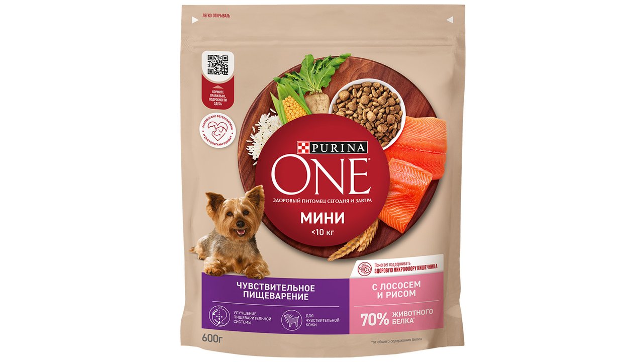 Сухой корм Purina ONE® Мини Чувствительная для взрослых собак мелких пород с чувствительным пищеварением, с лососем и рисом, Пакет, 600 г