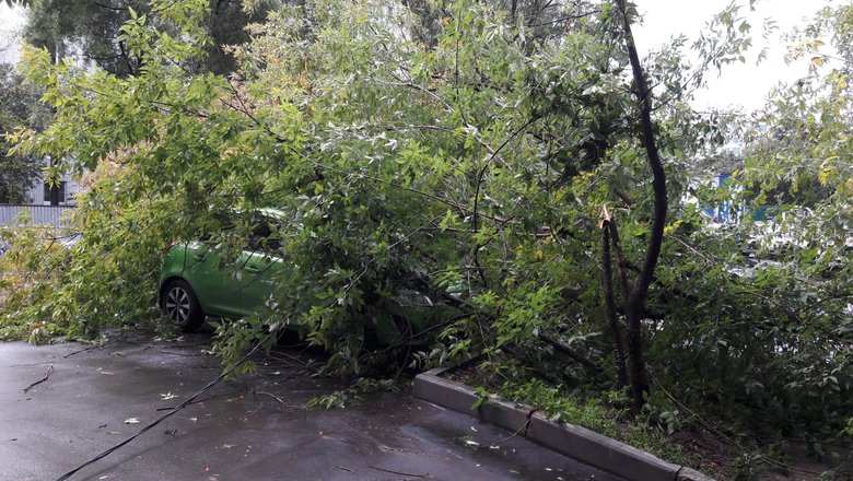 Когда водитель не виноват в аварии: объясняет ВС - новости shashlichniydvorik-troitsk.ru