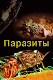Постер undefined: 1 сезон