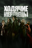 Постер сериала «Ходячие мертвецы»