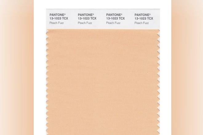 Pantone Pantone