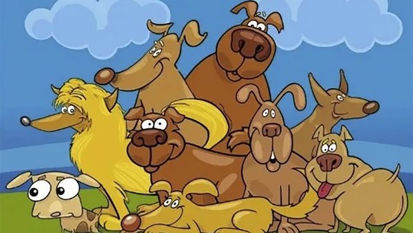 Найдите 10 отличий на собачьем портрете как можно быстрее
