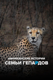 Постер телешоу «Африканские истории семьи гепардов»