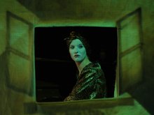 «Животные и дети занимают улицы» «Животные и дети занимают улицы»
