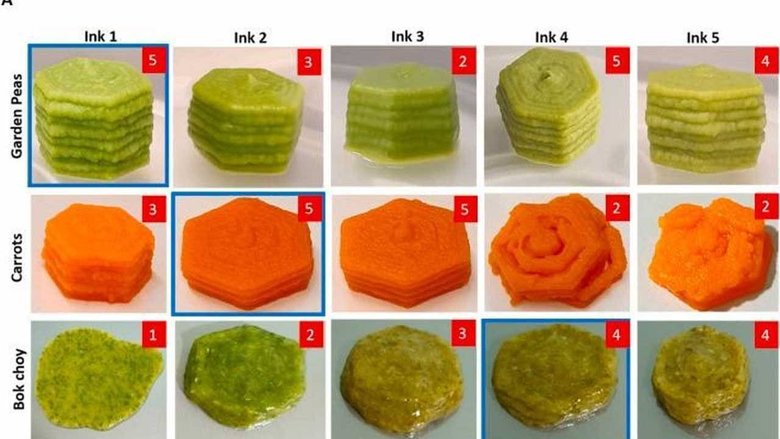 Чернила для 3D-принтера, изготовленные из белка насекомых и моркови / гороха / зелени. Фото: finance.sina.com.cn