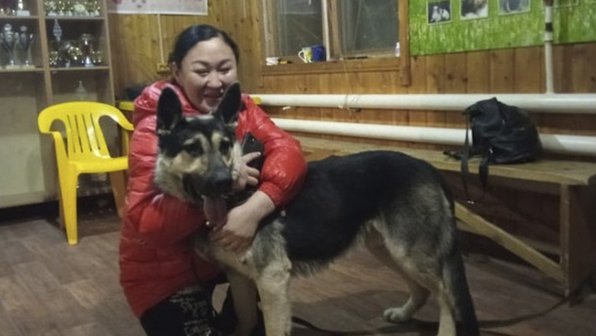 Семья из Якутии нашла своего пса, который пропал еще щенком