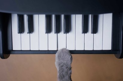 The Pet Piano