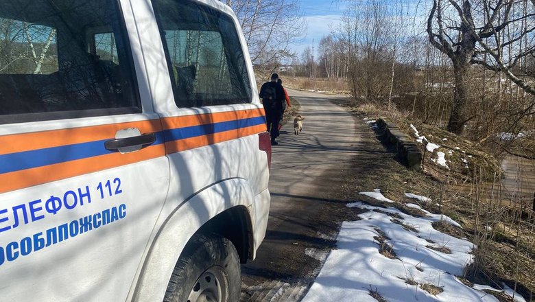 Школьницы спасли пенсионера с онкологией в подмосковном лесу. Школьницы спасли пенсионера с онкологией в подмосковном лесу.