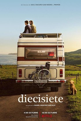 17-летний: постер