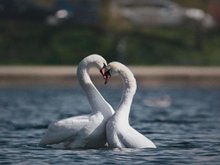 Кадр из Удивительная Дания