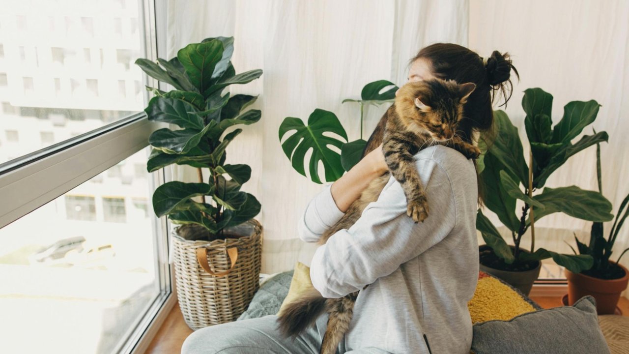 Кошка чувствует себя в безопасности на руках хозяйки 